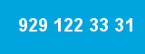 929 122 33 31